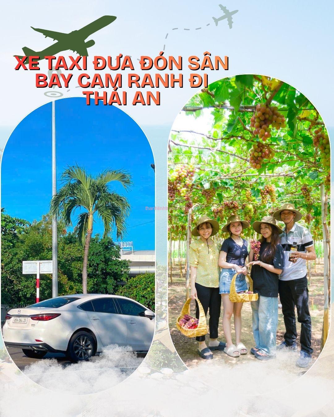 taxi Cam Ranh Thái An - Thành Linh Travel taxi Cam Ranh Thái An - Thành Linh Travel