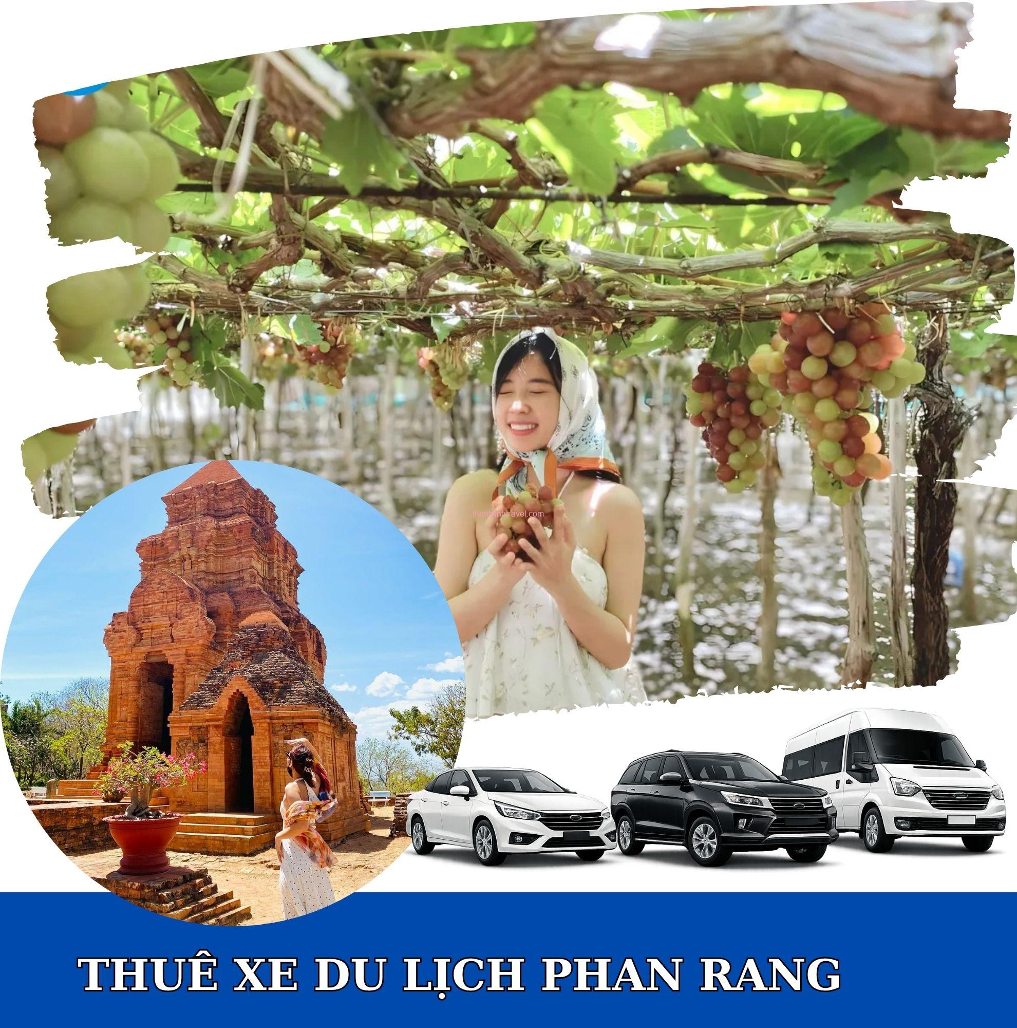 dịch vụ cho thuê xe Phan Rang giá tốt