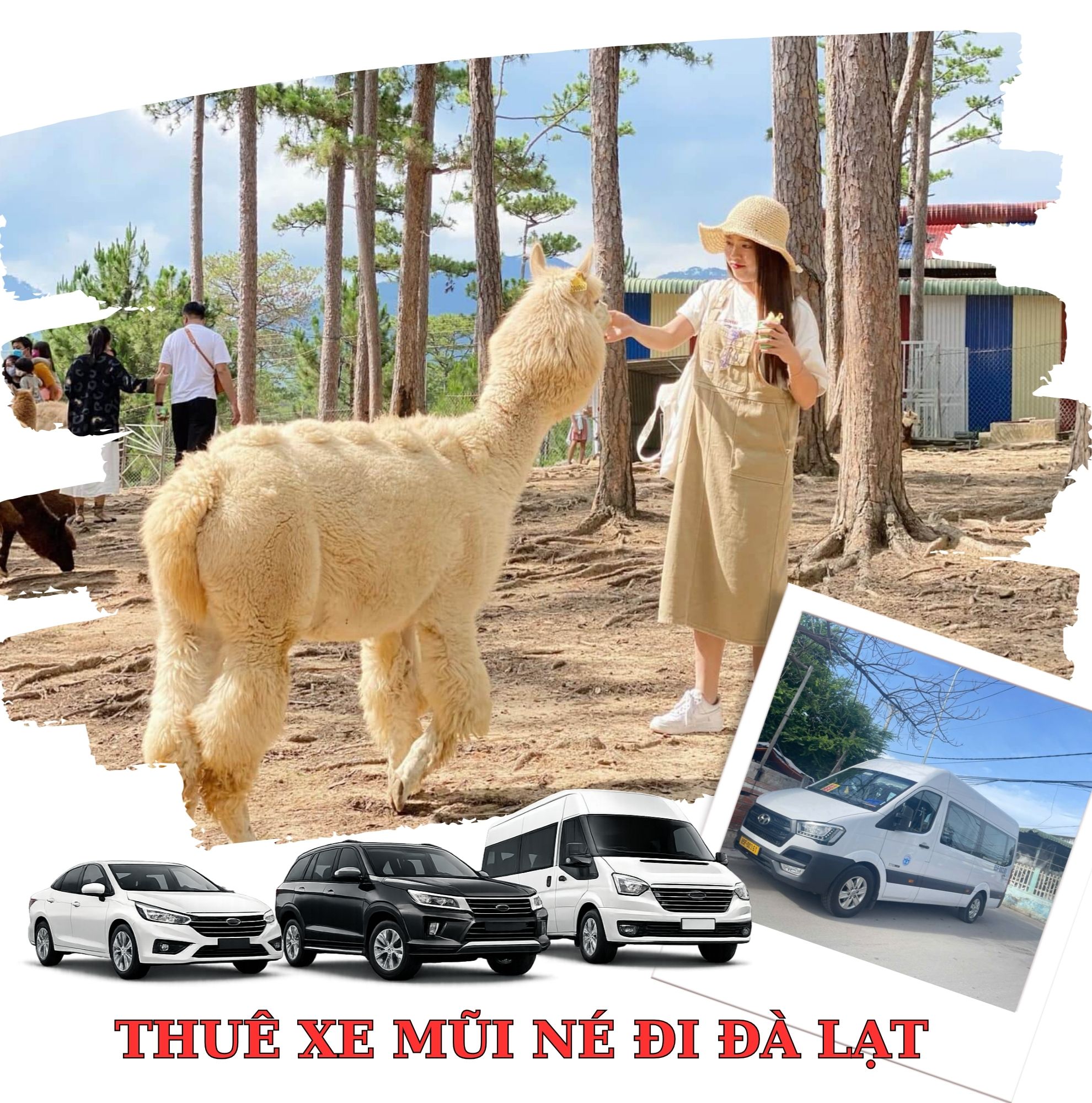 Đội xe du lịch đời mới đi Đà Lạt Đội xe du lịch đời mới đi Đà Lạt