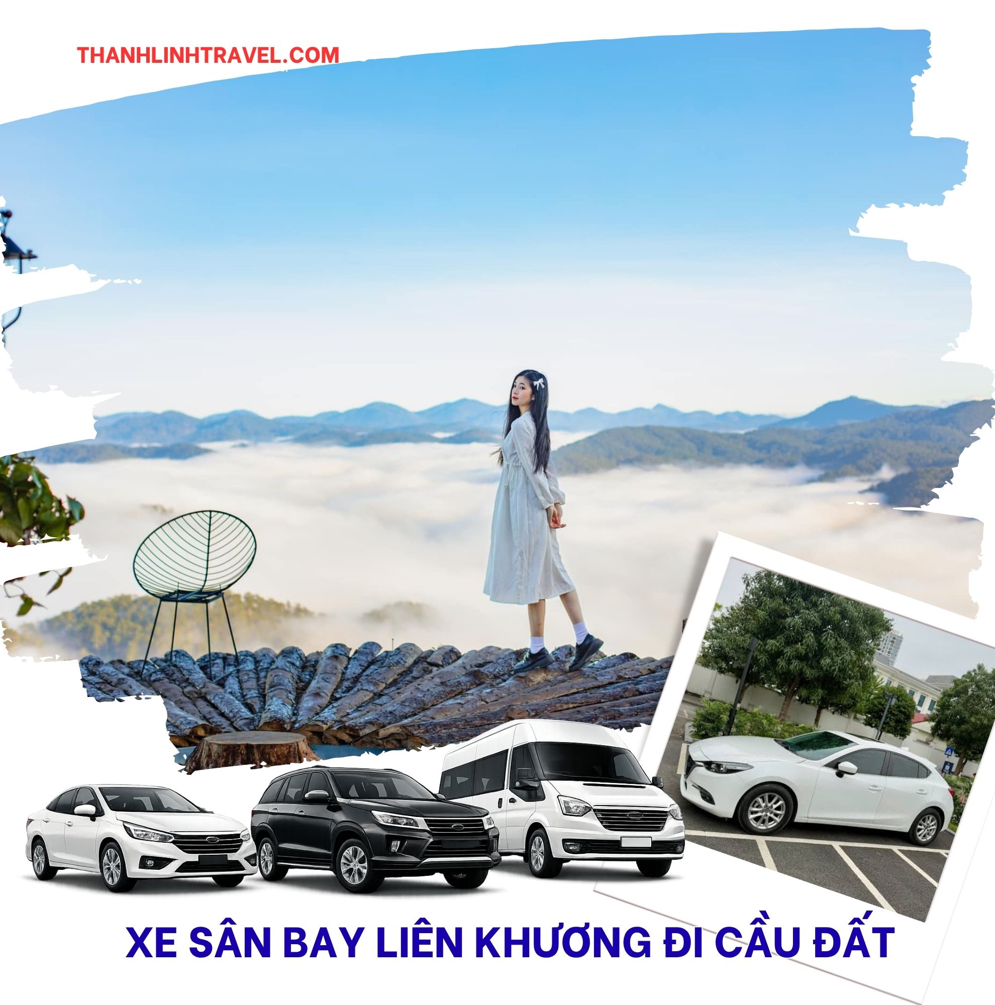 Biển mây Cầu Đất lúc sáng sớm nhìn từ đồi chè